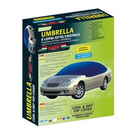 20114 Telo copri tetto cristalli per Skoda Fabia 5p 4/10> antighiaccio anti UV